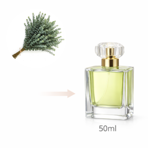 عطر اکالیپتوس طبیعی | Natural Eucalyptus